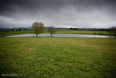 winery 1 of 1.jpg