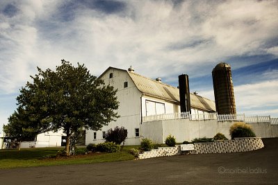 Amish Farm