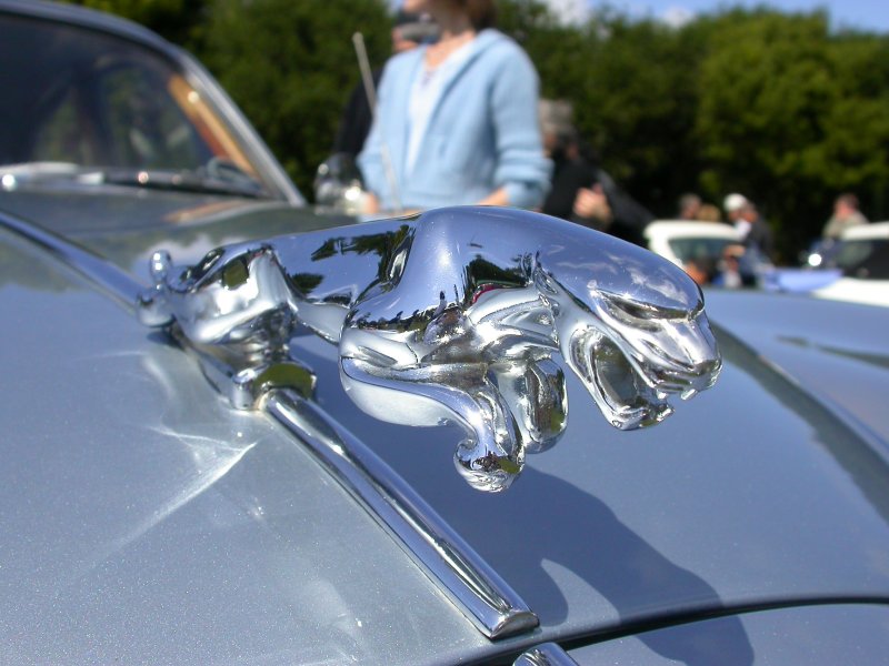 DSCN0854.JPG
