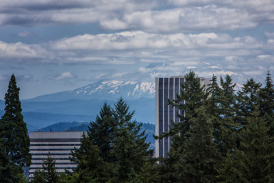 Mt. Hood