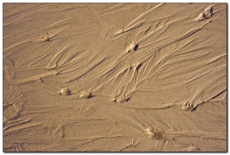 Sand Detail, Cannon Beach 1