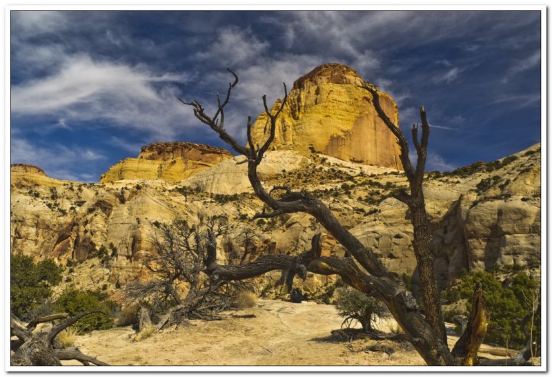 Golden Throne, Capitol Reef