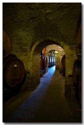 Montepulciano cellars