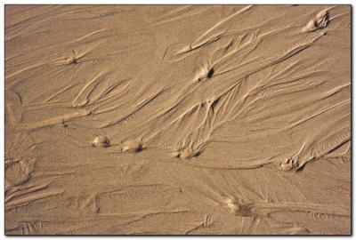 Sand Detail, Cannon Beach 1