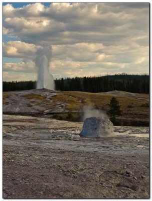 Old Faithful and a Dormant Beehive