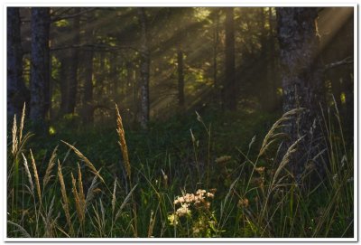 Cannon Beach Sun Rays