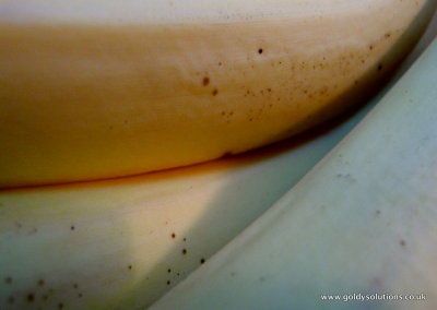 - 15th January 2011 - Banana