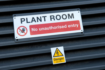 4th October 2012 - plant