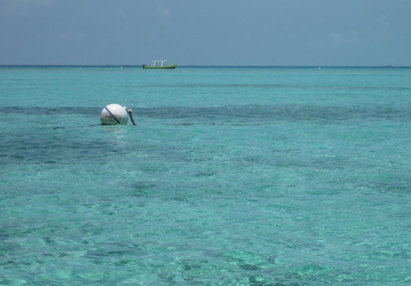 Caye Caulker