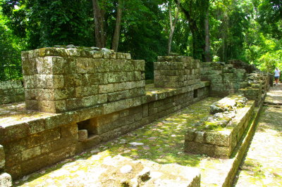 IMGP8502.JPG