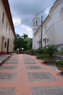 IMGP8522.JPG