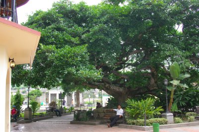 IMGP8530.JPG