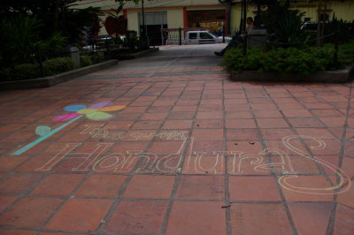 IMGP8535.JPG