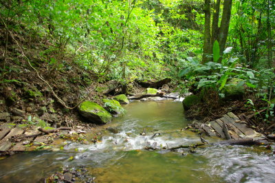 Costa Rica 154.jpg