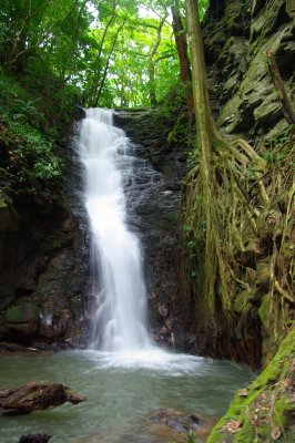 Costa Rica 169.jpg