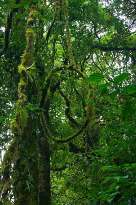 Costa Rica 184.jpg