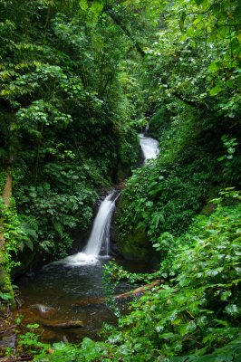 Costa Rica 189.jpg