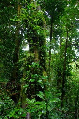 Costa Rica 199.jpg