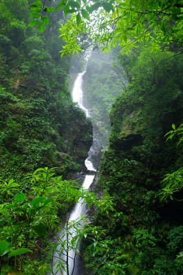 Costa Rica 224.jpg