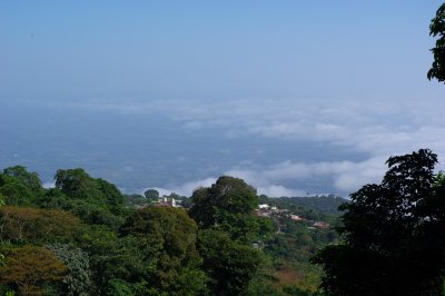 Alegria