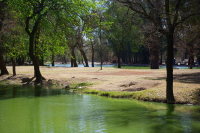 Cordoba