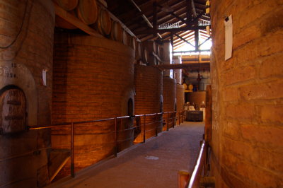 IMGP0510.JPG