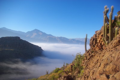 Valle de Elqui