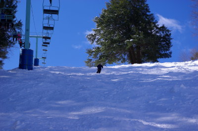 IMGP0719.JPG