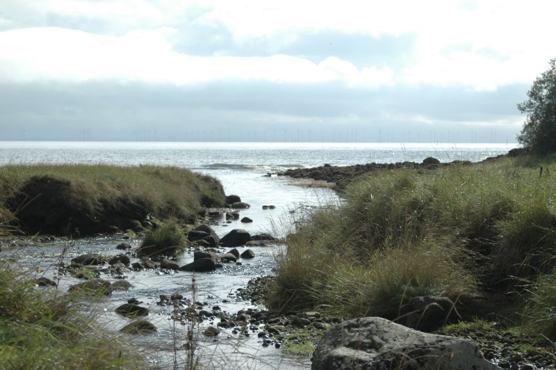 Kirkcudbright  21-09-10 220.jpg