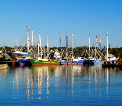 Colorful Harbor