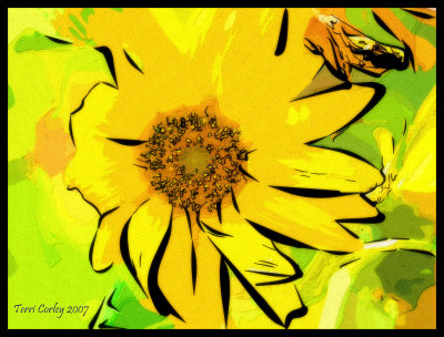 Katrina Sunflower