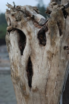 DSC_0795.jpg