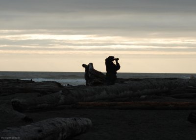 DSC_0797.jpg