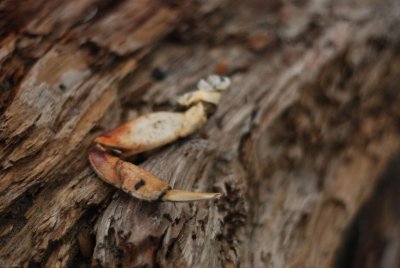 DSC_0807.jpg