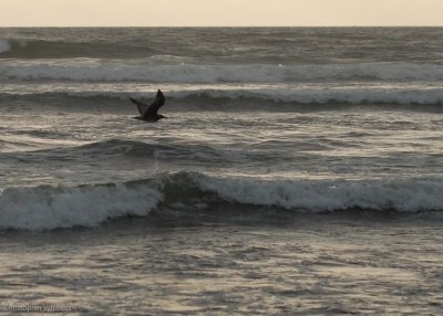 DSC_0813.jpg