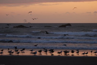 DSC_0850.jpg