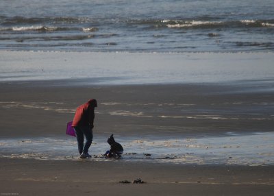 DSC_0865.jpg