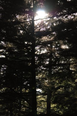 DSC_0888.jpg