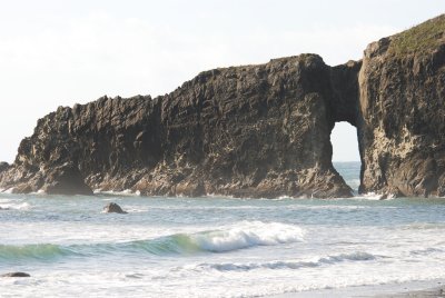 DSC_0890.jpg