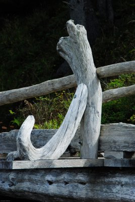 DSC_0944.jpg