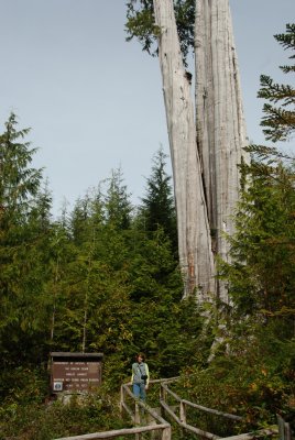 DSC_0947.jpg