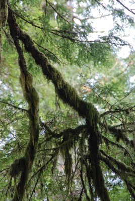 DSC_0951.jpg