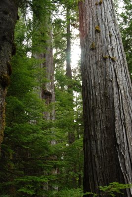 DSC_0953.jpg