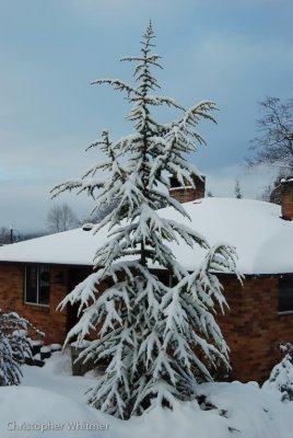 DSC_1284.jpg