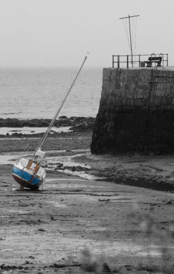 Dysart Harbour - DSC_7111.jpg