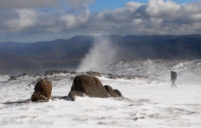 Carn a' Mhaim, Cairngorms - DSC_7613.jpg