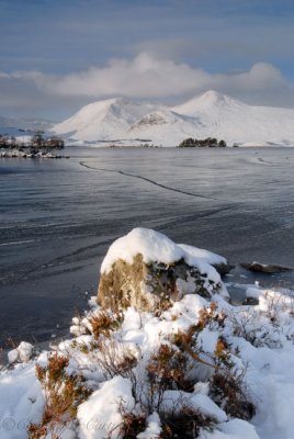 Blackmount, Rannoch Moor - DSC_9263.jpg