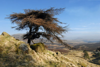 West and East Lomond - DSC_1922.jpg