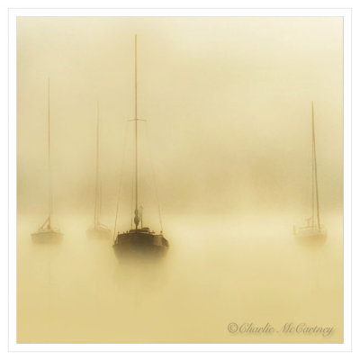 Golden Mist - DSC_4195.jpg