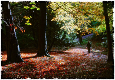 Autumn Walk - DSC_4310.jpg